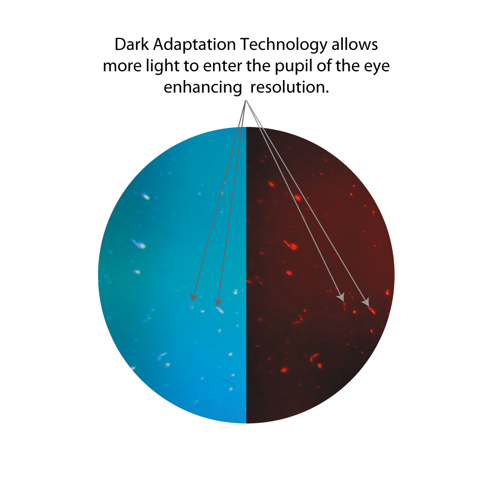 Dark Adaptation Technology description 