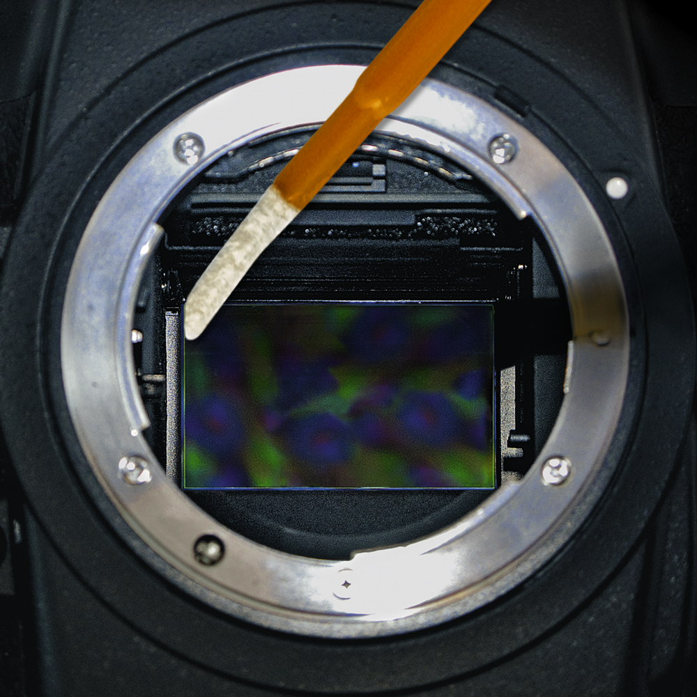 DHAP Orange Corner Swabs